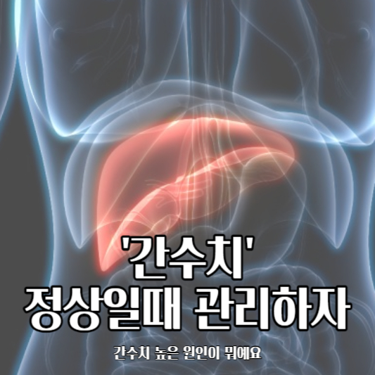 간수치-liver